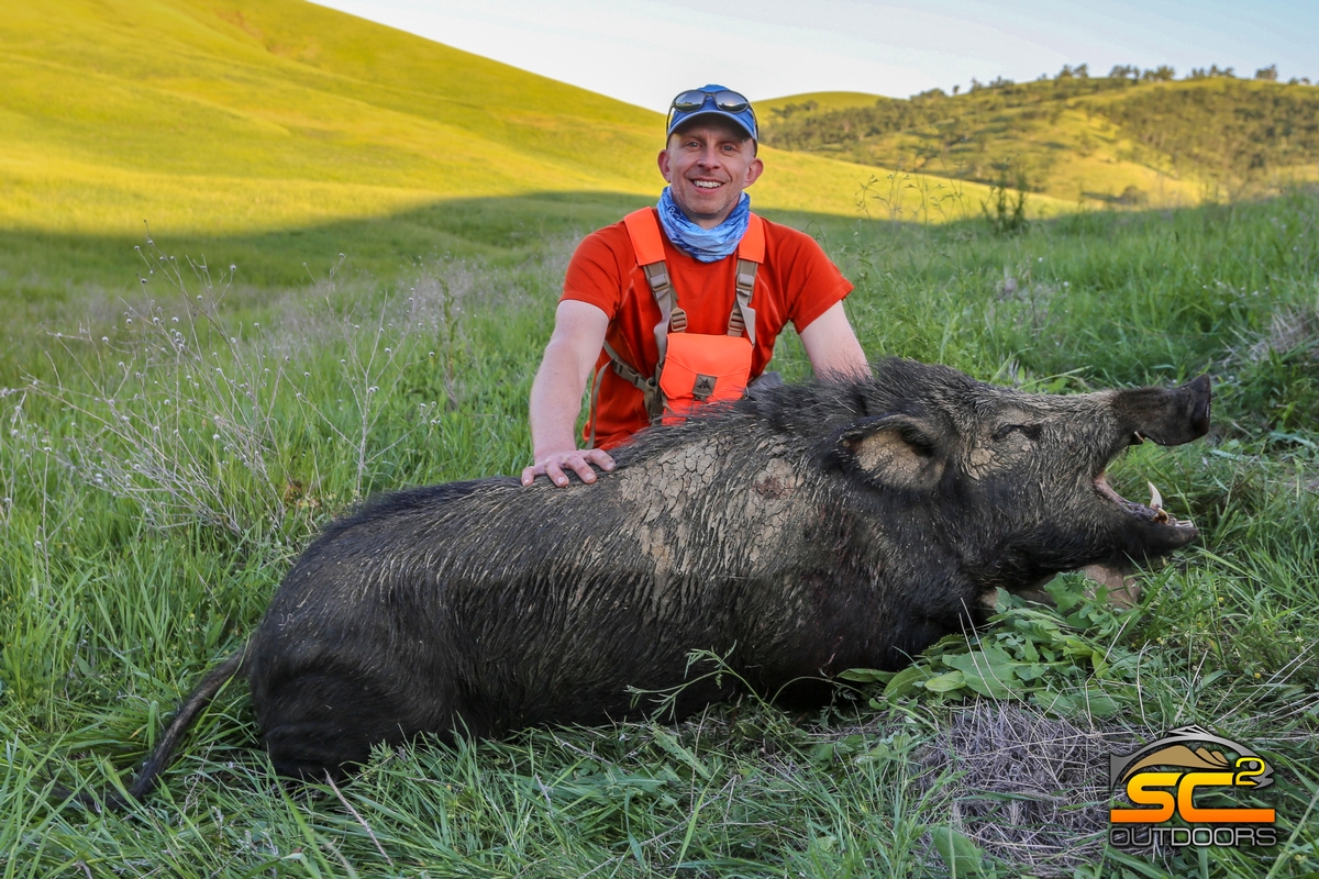 Page 60 1 Northern California Wild Pig Hunting With SC2 Outdoors